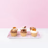 Salted Caramel Cupcakes (6 Pieces) Cupcakes Junandus - CakeRush