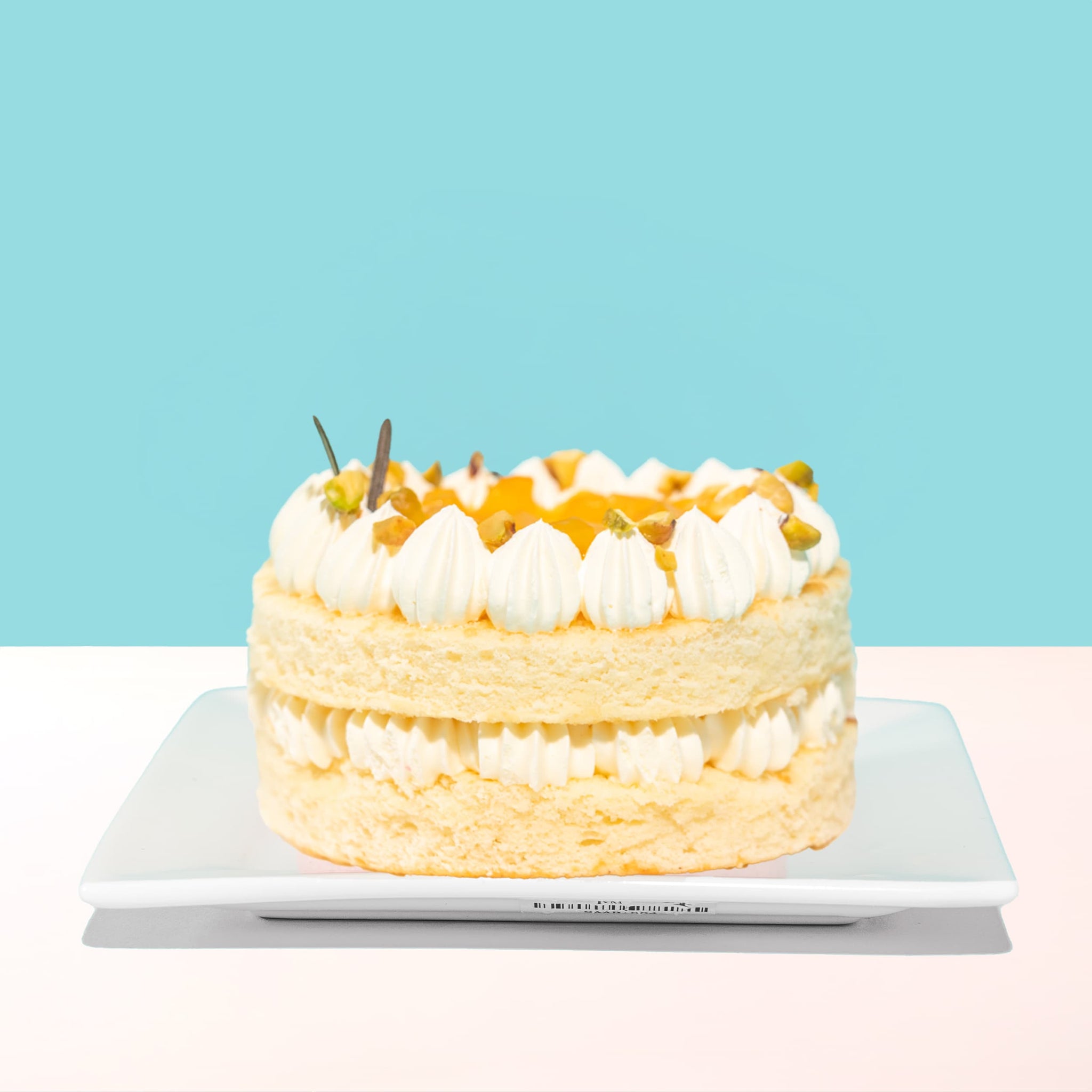 Alternative view of Mango Bento Cake