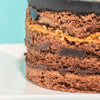 Ultimate Chocolate Bento Cake cake Sweet Passion's Premium Cakes - CakeRush