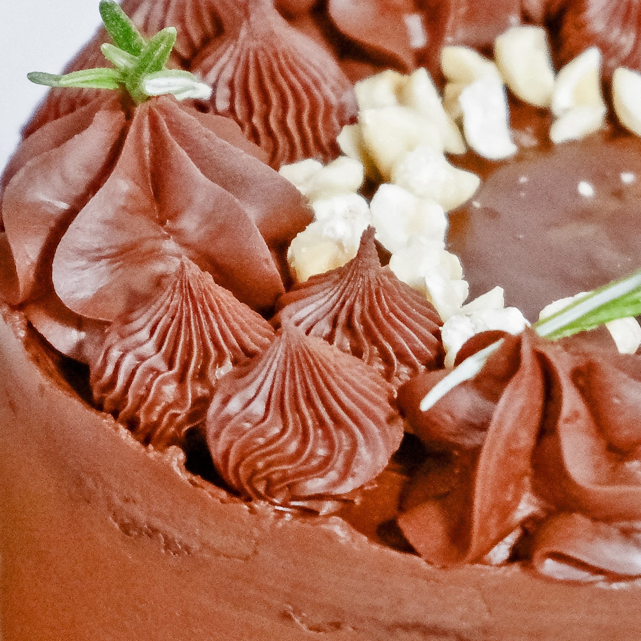 Alternative view of Hazelnut Chocolate Cake
