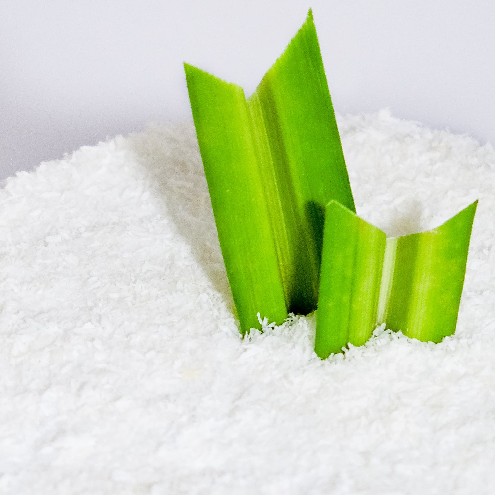 Alternative view of Ondeh Ondeh Cake