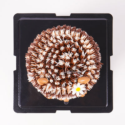 Hedgehog Designer Cake cake_designer Junandus - CakeRush