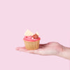 Dusty Pink Ombre Cupcakes (16 Pieces) cupcake Junandus - CakeRush