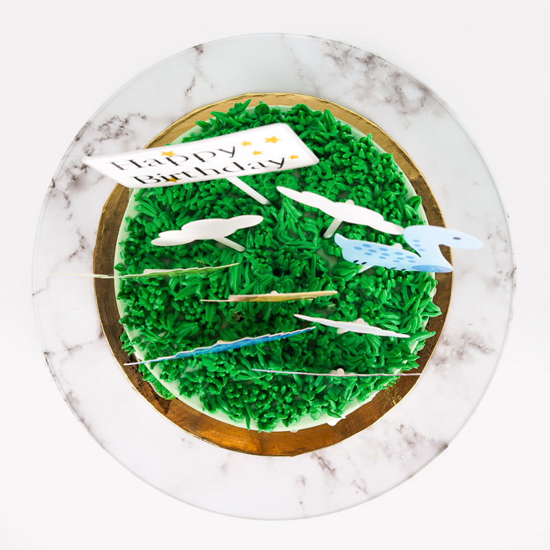 Alternative view of Dino Dino Cake