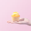 Lemon Curd Cupcakes (6-12 Pieces) cupcake Huckleberry - CakeRush