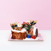 Historic Christmas cake_christmas KOBO Bakery - CakeRush