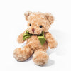 Teddy Bear (Large) addon CakeRush - CakeRush
